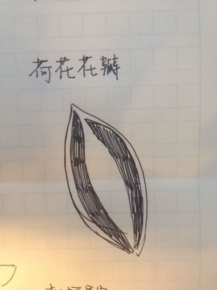 简单国画教程零基础入门植物,国画蔬果茄子与苦瓜的画法