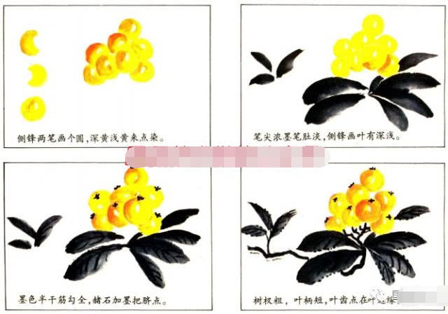 简单国画教程零基础入门植物,国画蔬果茄子与苦瓜的画法