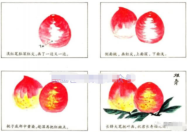 简单国画教程零基础入门植物,国画蔬果茄子与苦瓜的画法