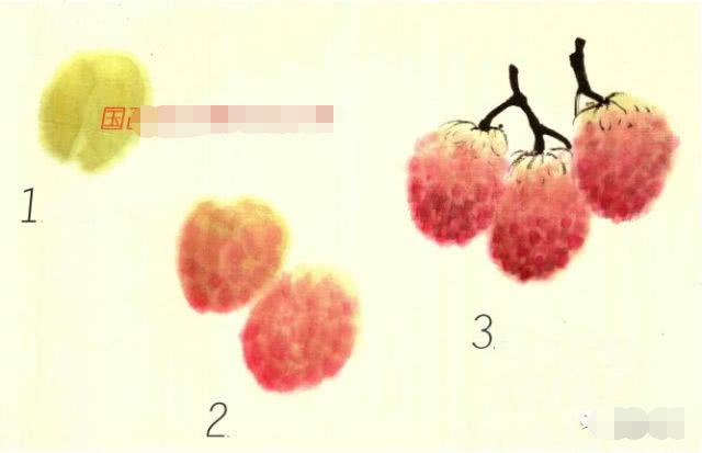 简单国画教程零基础入门植物,国画蔬果茄子与苦瓜的画法