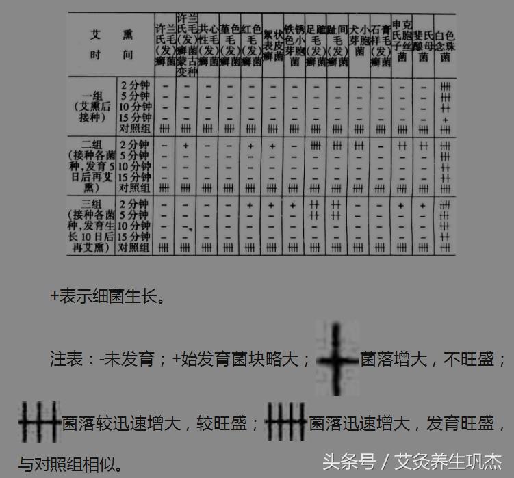 艾烟找水实验可靠吗,艾烟对人体的利与弊