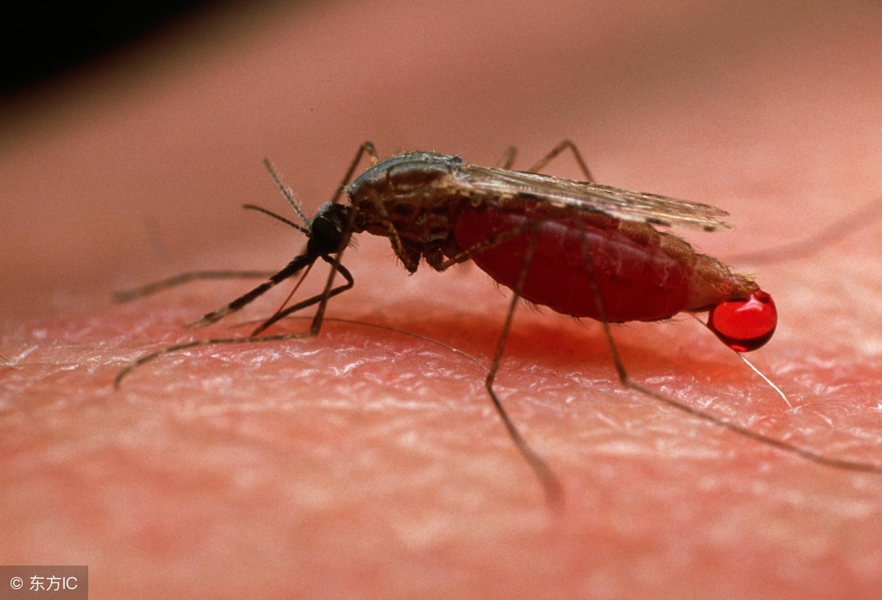 10个趣味冷知识会让人上瘾的糖,只有人类会得痔疮吗