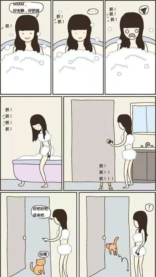 猫咪偷睡在主人床边的原因,猫咪为何喜欢偷嘴