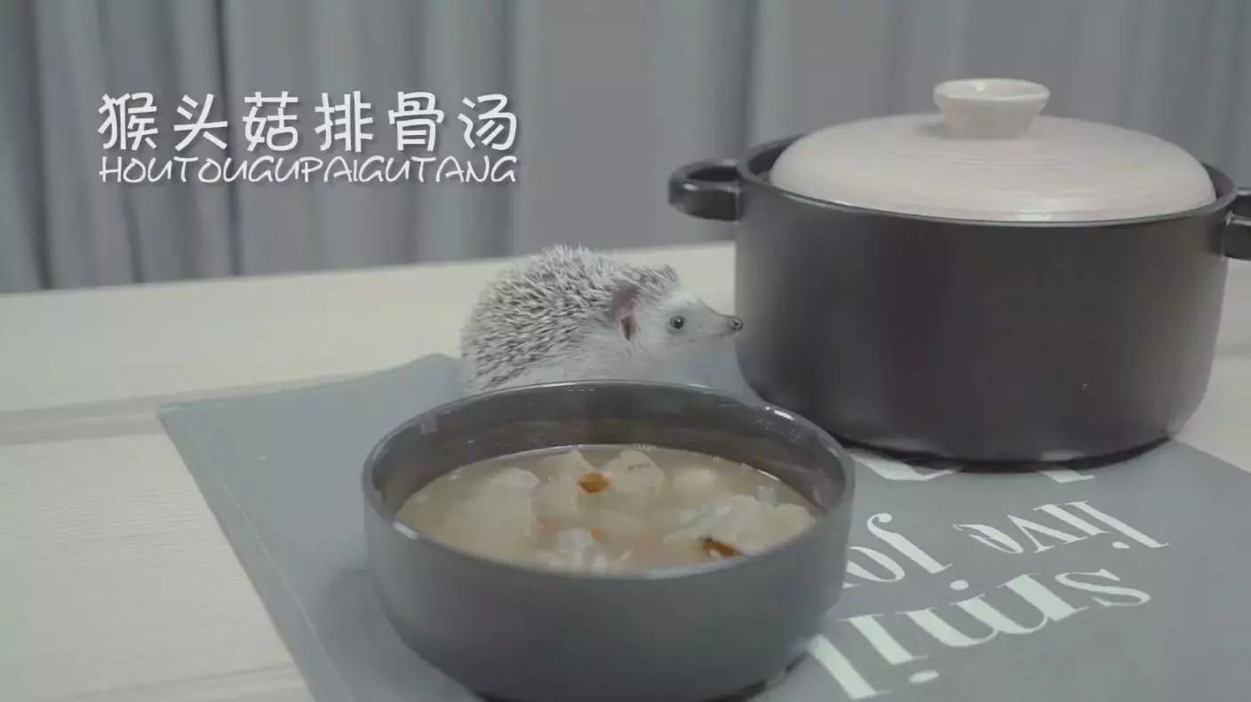营养清淡养胃的排骨汤,清淡营养美食排骨