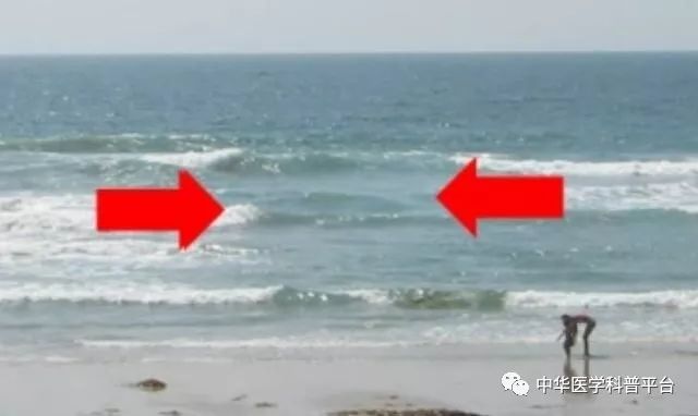 夏天游泳池旅游注意事项,海边旅游安全知识及游泳注意事项