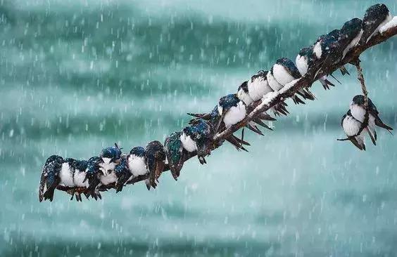 超有气氛的集体照图片,刚拍的你从未见过的集体照