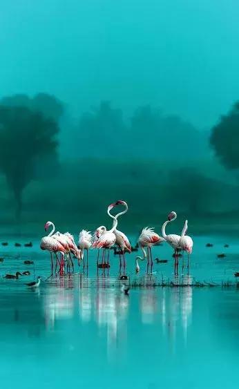 超有气氛的集体照图片,刚拍的你从未见过的集体照