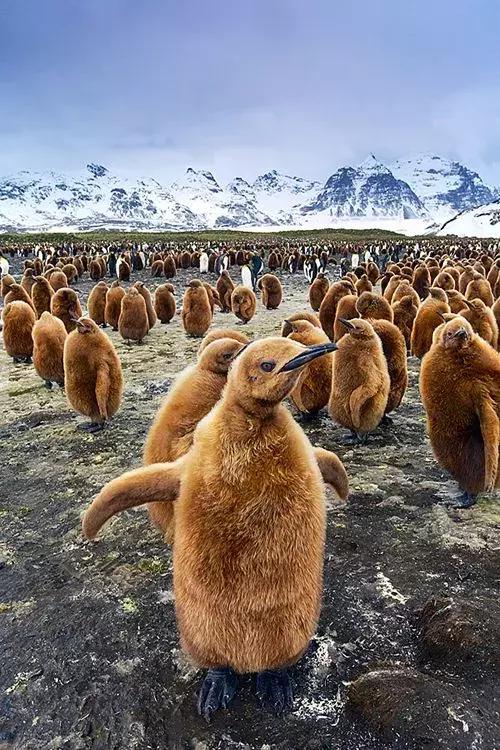 超有气氛的集体照图片,刚拍的你从未见过的集体照