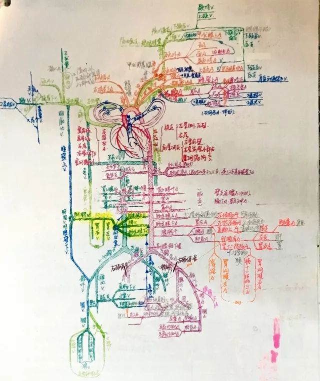 学霸笔记经典语录励志,学霸的笔记是真的吗