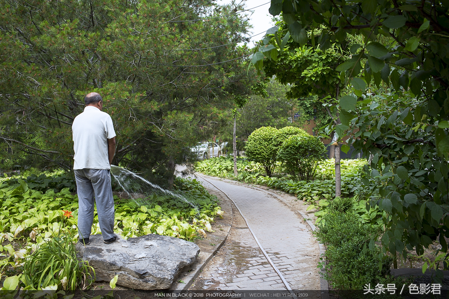 佳能24-70f4和24-105f4哪个好,佳能最新款镜头推荐哪款