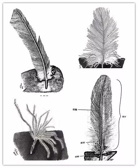 年货精选分享,年货精选30本哲学好书