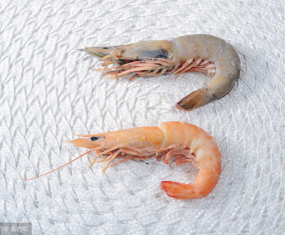 复旦精子库招募志愿者，补助5000块，但这个要求很多人不达标！