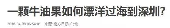 牛油果一个卖多少,牛油果骇人听闻的真相