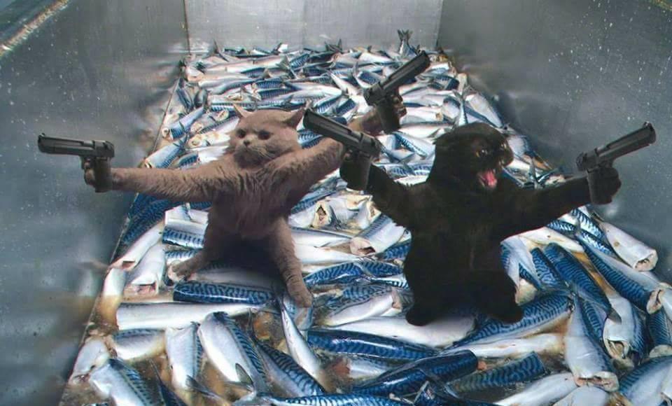 头条榜中榜丨互喷群这么火，但我最想加入的只有这一个