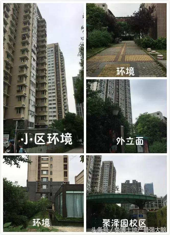南京凤凰花园城小学怎么样,南京凤凰花园城小学施教区