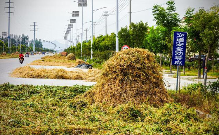 农民马路晒麦草导致交通事故，责任究竟谁来承担？听听律师怎么说