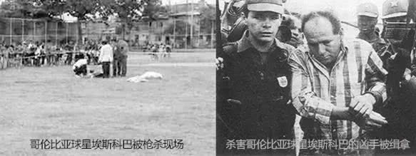 世界杯伪球迷必备知识点了解起来,世界杯伪球迷知识必备点