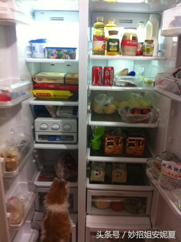 如何不让冰箱结冰冰箱工作不制冷,冰箱结冰厚不用铲用一个瓶子搞定