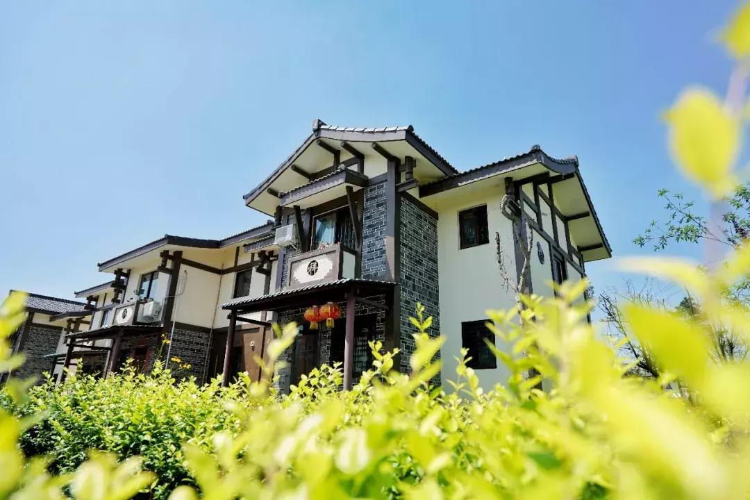 双流县十大美女,双流区漂亮美女