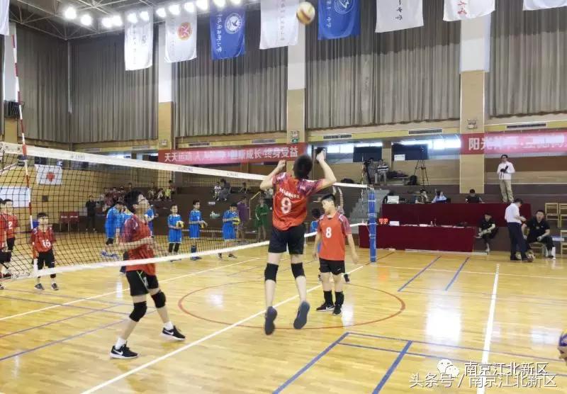 这个六月，看新区这群娃娃挥汗如雨战金陵！