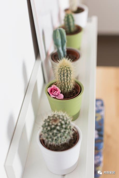 改柜子颜色翻车,改家具门颜色刷什么漆