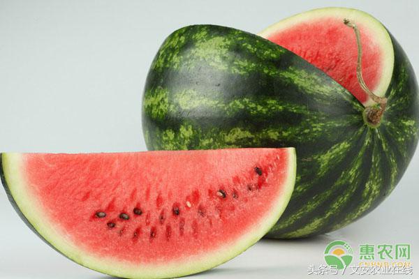 海南西瓜今天多少钱一斤,今天西瓜多少钱