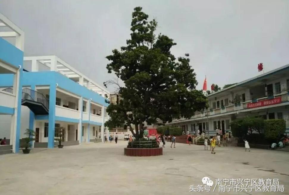 兴宁小学2023一年级招生简章,广东兴宁市公办小学招生条件