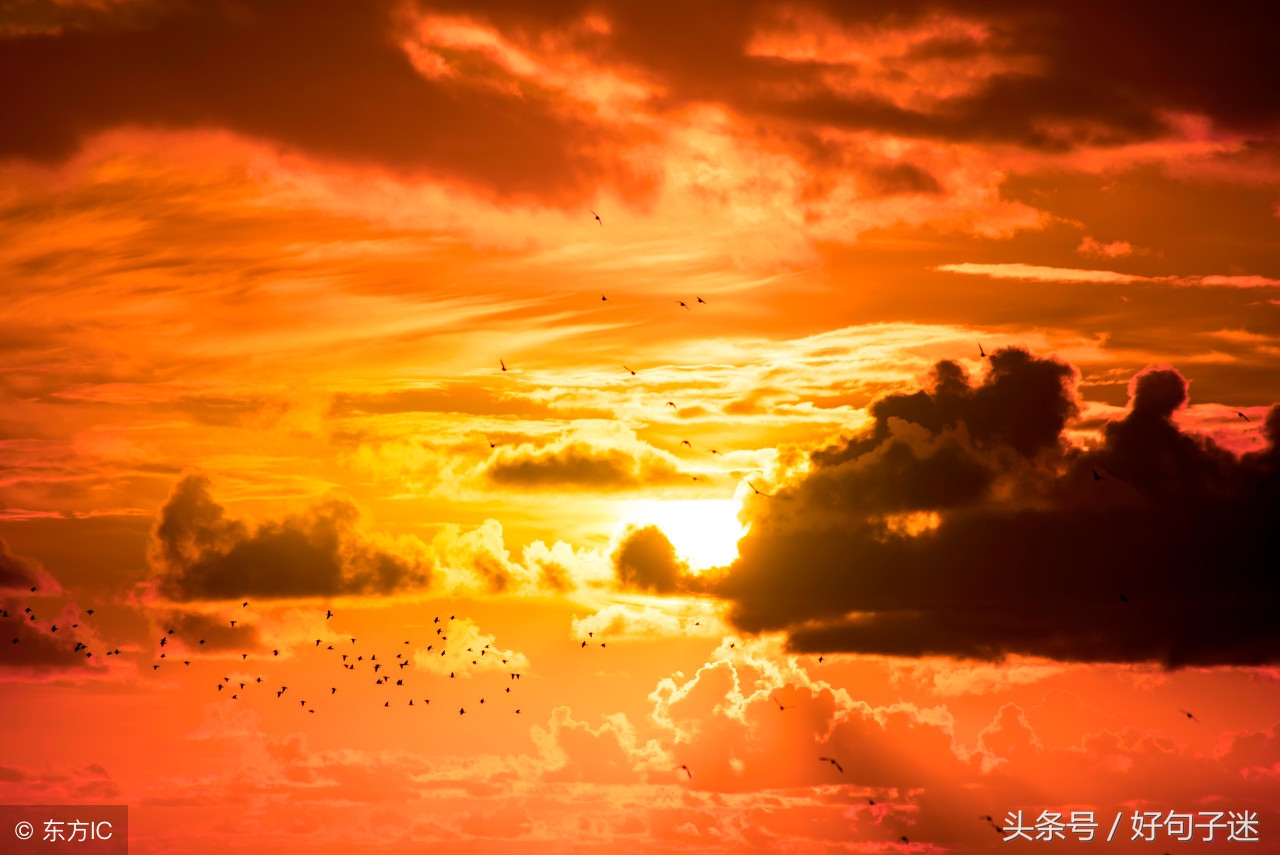 世界十大名著中的名言,十大幽默文学名著