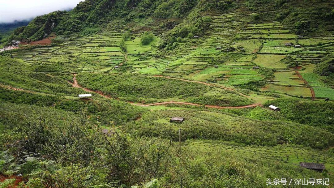 深山寻味｜远赴镇康，遇见一个不一样的木场乡