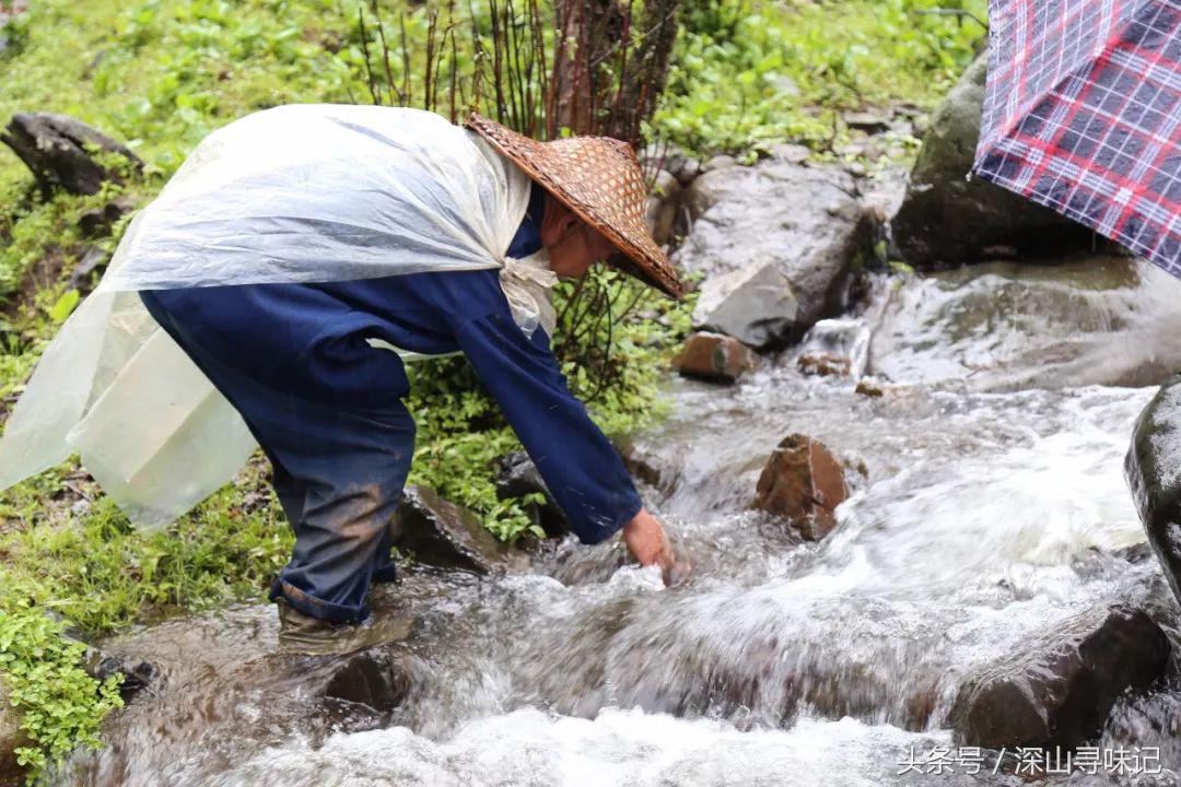 深山寻味｜远赴镇康，遇见一个不一样的木场乡