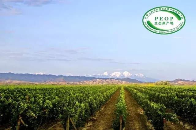 尼雅葡萄酒臻酿,尼雅葡萄酒精选级