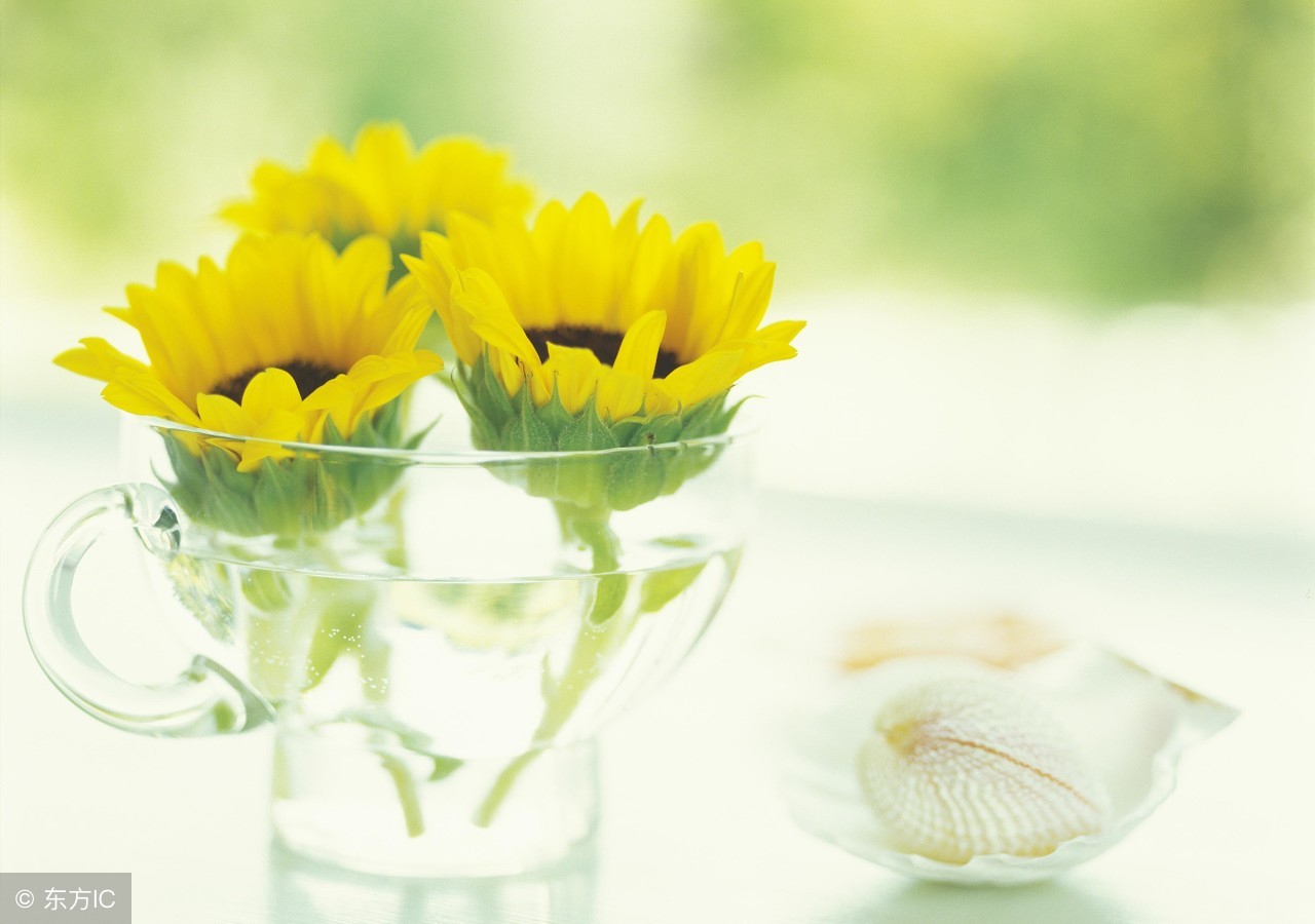 中国股市血一般的教训：记住了固定盈利铁律，你就可以快速盈利！