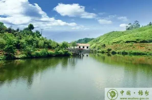 以前的梧州为什么被称为小香港,梧州为啥被叫成小香港