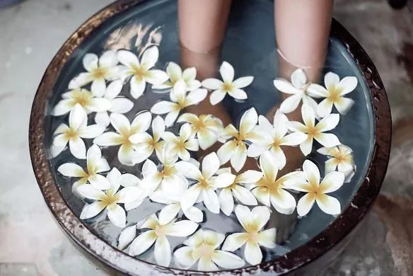 stay旅行者,stay旅行