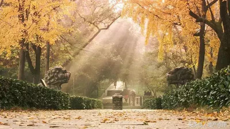 南京大爆发,大爆发攻略