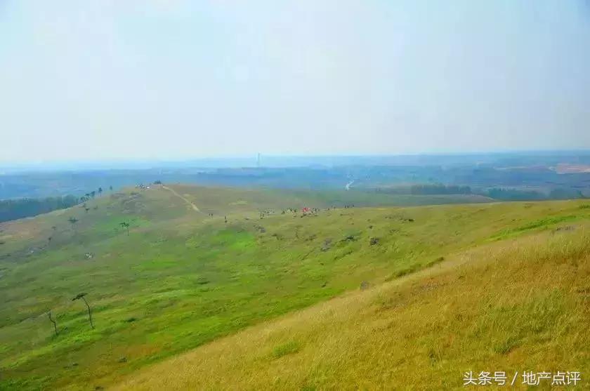 南京大爆发,大爆发攻略