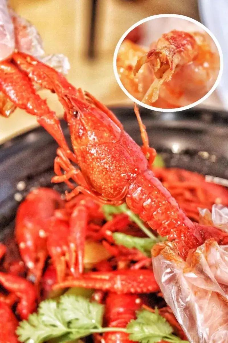 世界杯观赛狂欢夜,世界杯狂欢时刻