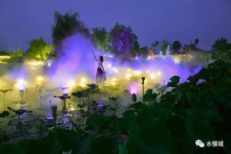 荷你有约金湖音乐节,荷你有约开学典礼