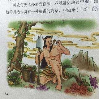 神农尝百草发现中药,神农本草经记载的药现代能找到吗