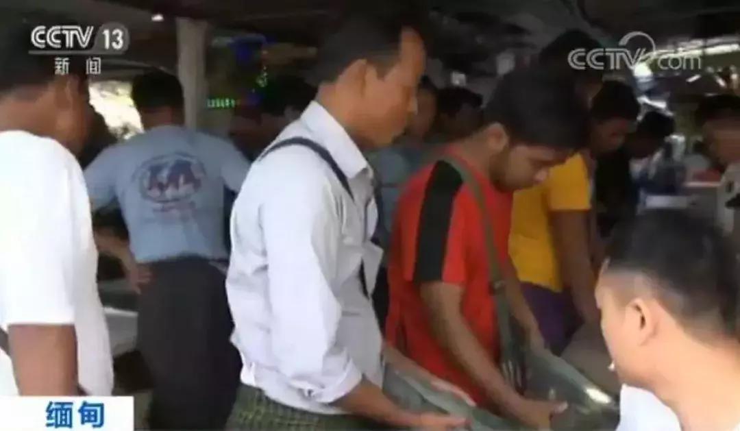 缅甸翡翠现场的翡翠是真的吗,翡翠造假染色视频