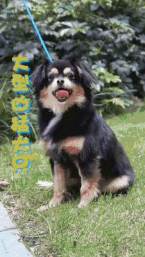 推荐抖音最火合集,抖音干货排行榜全国