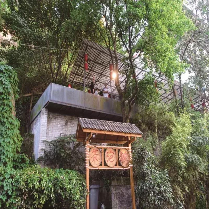 “想不红都难”系列:欢迎全世界的朋友来渝中蹭网