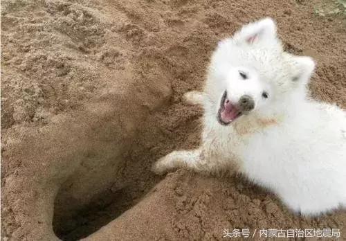 看球的时候就要专心去看,看球也需要有仪式感