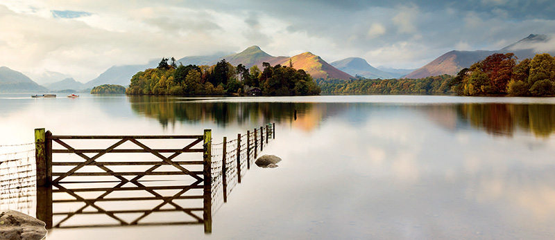 RossHoddinott：我不怕落俗套