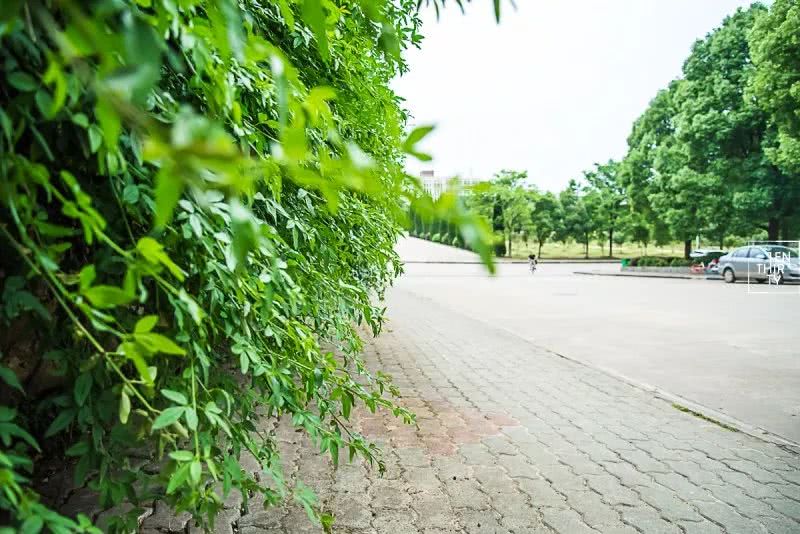 不在汉口的汉口学院，聚集了大花岭大学城最好吃的美食！