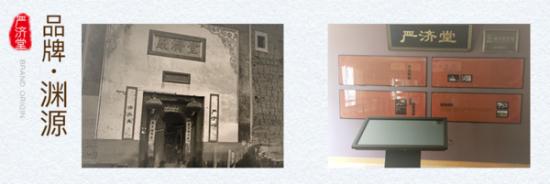 严济堂是大品牌吗,严济堂牌子如何