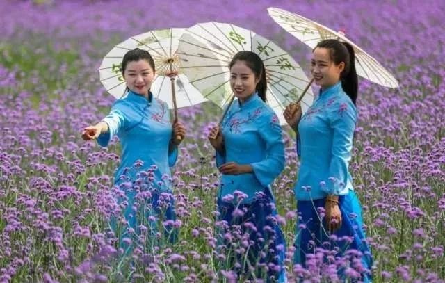 祥和家园杀人事件,祥和家园门口杀人案