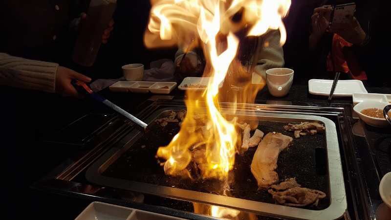 世界杯观赛指南,2022世界杯观赛指南