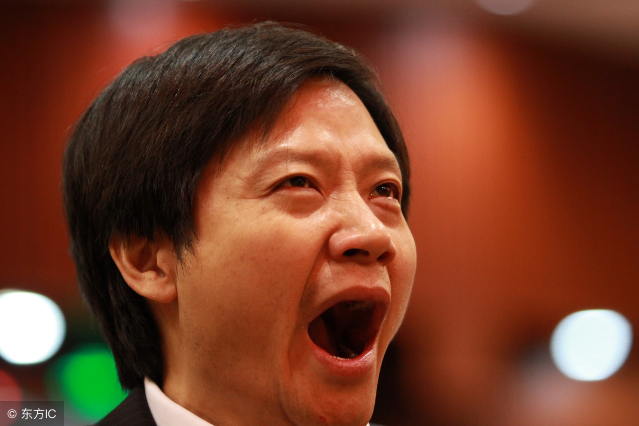 小米招股说明书揭了小米的底,详解小米招股说明书