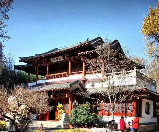 吃着煎饼卷大葱开挖掘机：你对山东有什么误解？